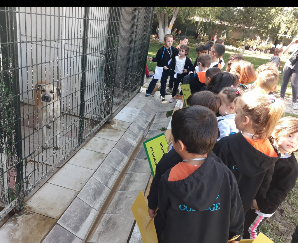 Etkin Kolej | ''Hayvanları Koruma Günü'' Anaokulu Gezisi