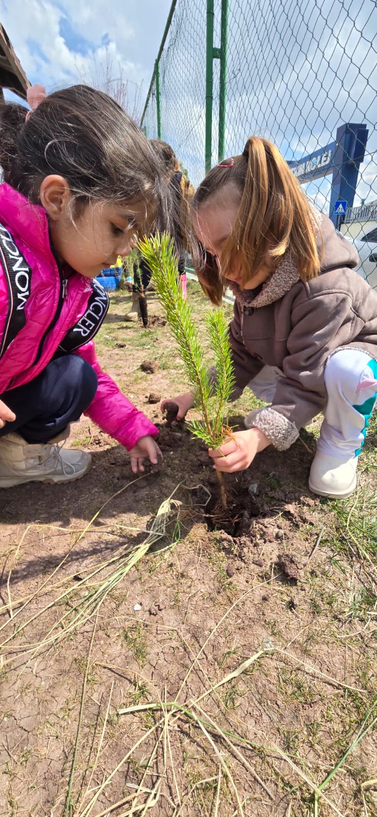 Etkin Kolej | 21–26 Mart Dünya Ormancılık Günü ve Orman Haftasında Fidan Dikim Etkinliği!