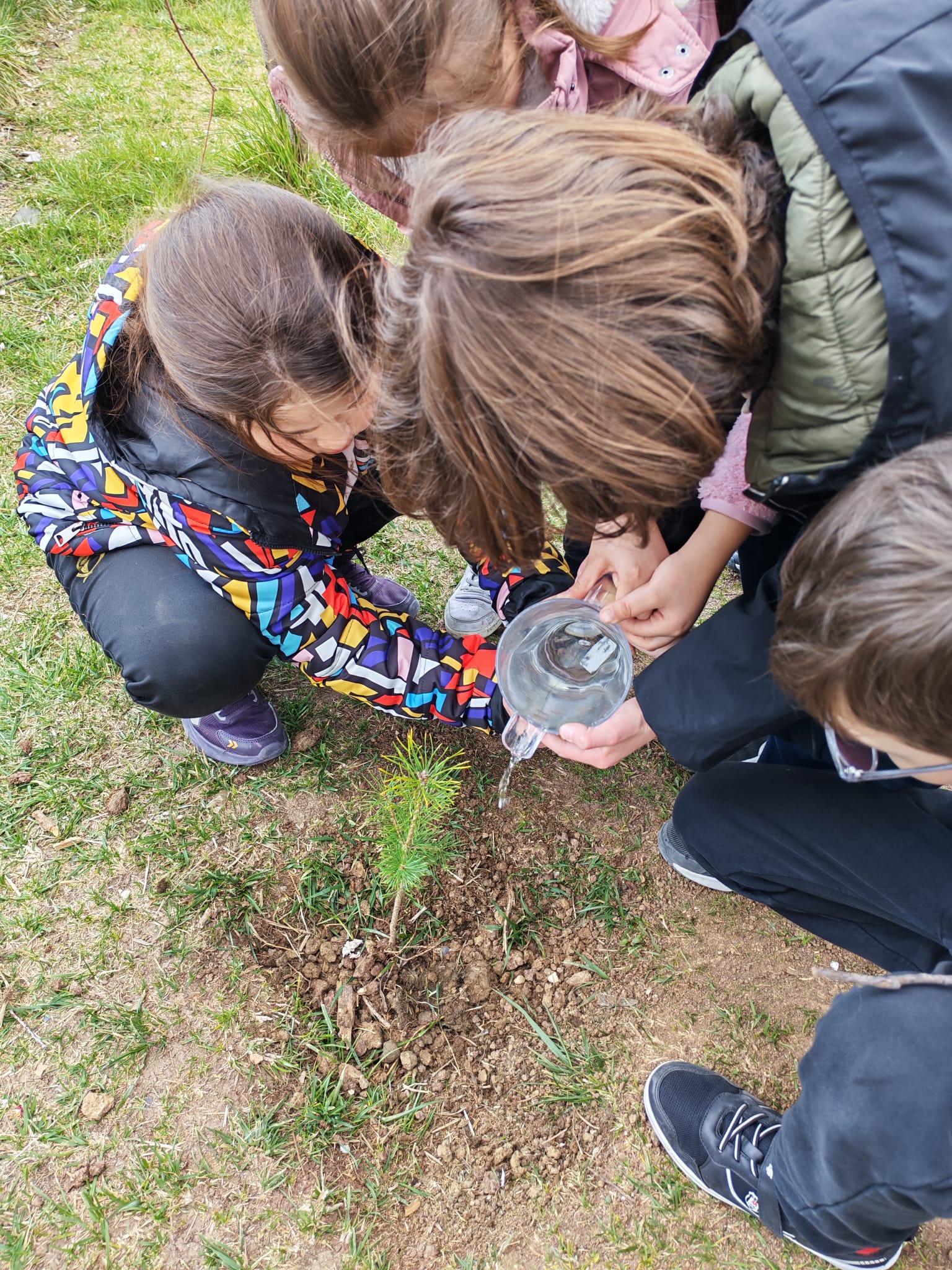 Etkin Kolej | 21–26 Mart Dünya Ormancılık Günü ve Orman Haftasında Fidan Dikim Etkinliği!